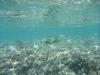 P1020069