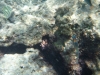 P1020085