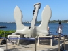DSCN1140