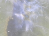 DSCN1235